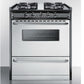 Summit TTM21027BRSW Luxury and Convenience Gas Range